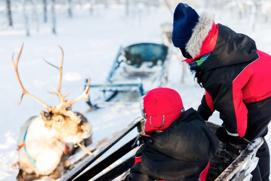 Rovaniemi: Husky & Reindeer Experience with Snowmobile Ride - Meet the Alaskan huskies, then ride 500 meters with them