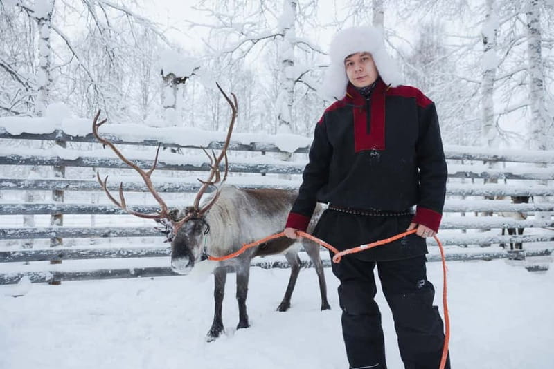 Rovaniemi: Husky & Reindeer Experience with Snowmobile Ride - Your 1-hour snowmobile ride through Arctic Circle forests