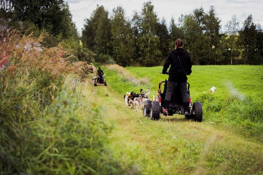 Rovaniemi: Husky Safari & Campfire BBQ – 6‑10 km Self‑Drive - Swapping turns on the sled: why it can feel more fair