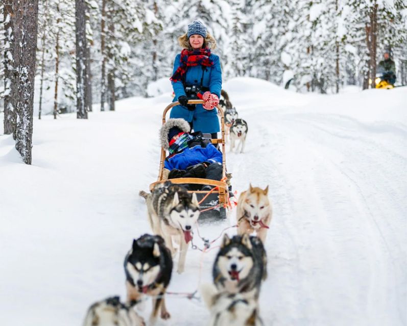 Rovaniemi: Husky Safari on a Snowy Trail - Snowmobile Practice: Winter Control Skills in Lapland