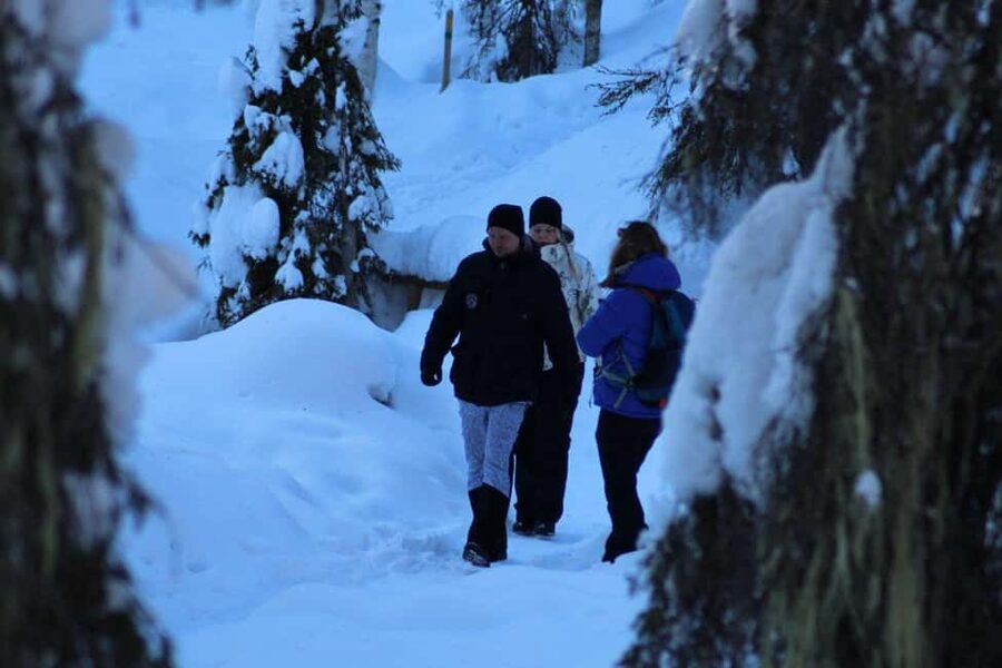 Rovaniemi: Korouoma Canyon and Frozen Waterfalls Tour - What to bring, and what to skip