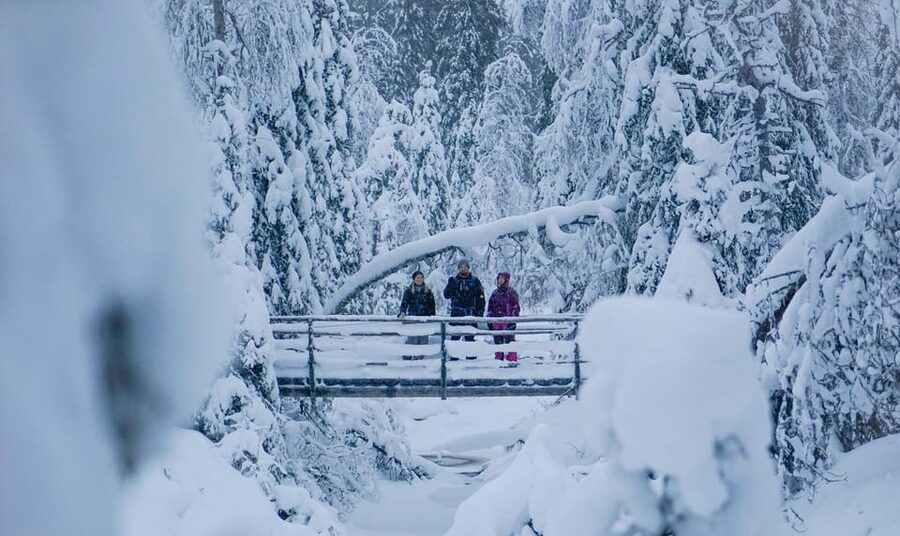 Rovaniemi: Korouoma Canyon Frozen Waterfalls Guided Hike - FAQ