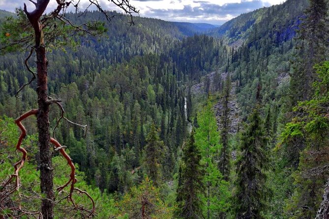 Rovaniemi Korouoma Canyon Hike and Barbecue Experience - Key Highlights to Expect on This 7-Hour Canyon Day