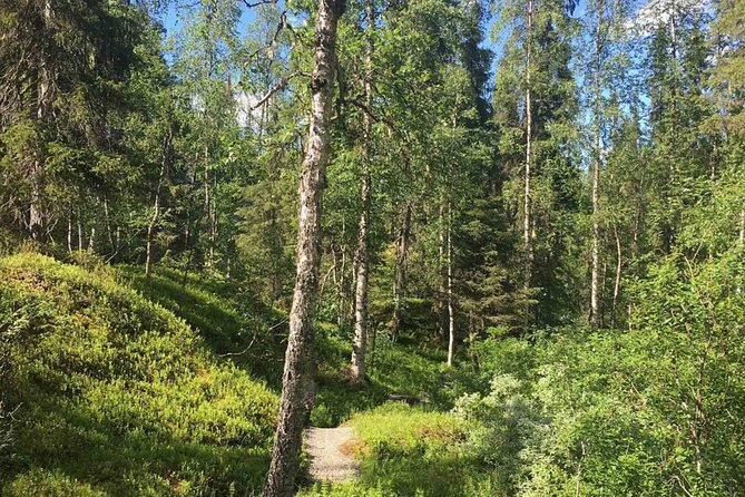 Rovaniemi Korouoma Canyon Hike and Barbecue Experience - The Korouoma Canyon Hike: 4 to 6 km of Moderate Effort