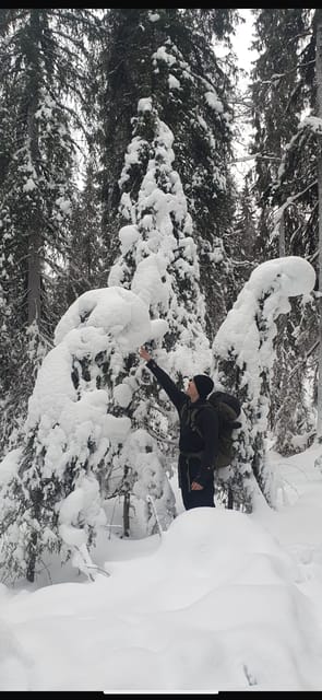 Rovaniemi: Korouoma Frozen Waterfalls Hike & Hot BBQ Lunch - How the 7-hour plan moves (and why it works)