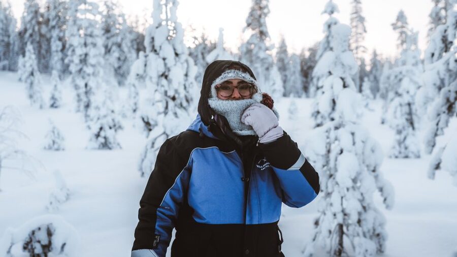 Rovaniemi: Lapland Ski Trekking Safari - Price and Value: What $128 Buys You in Real Terms