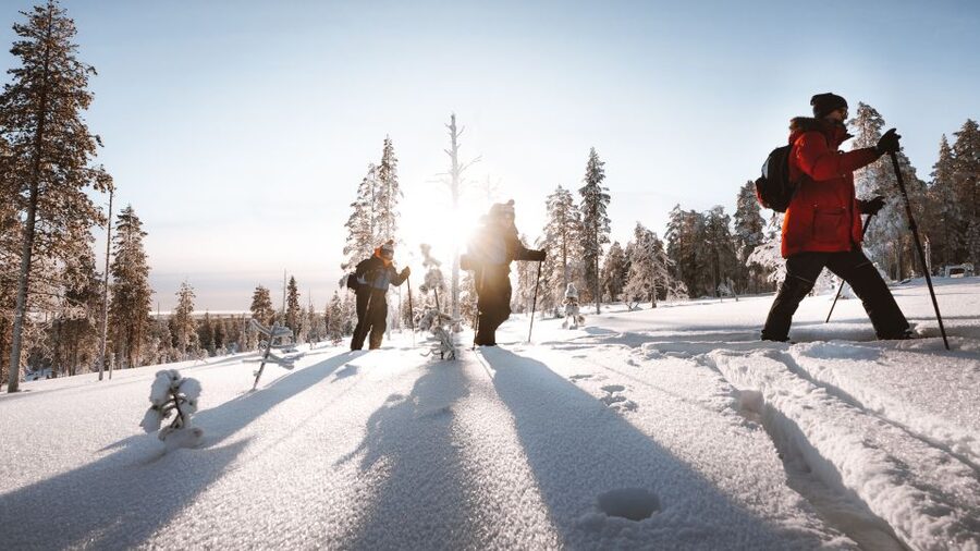 Rovaniemi: Lapland Ski Trekking Safari - Ski Trekking in Rovaniemi: Why Back-Country Skis Feel Different