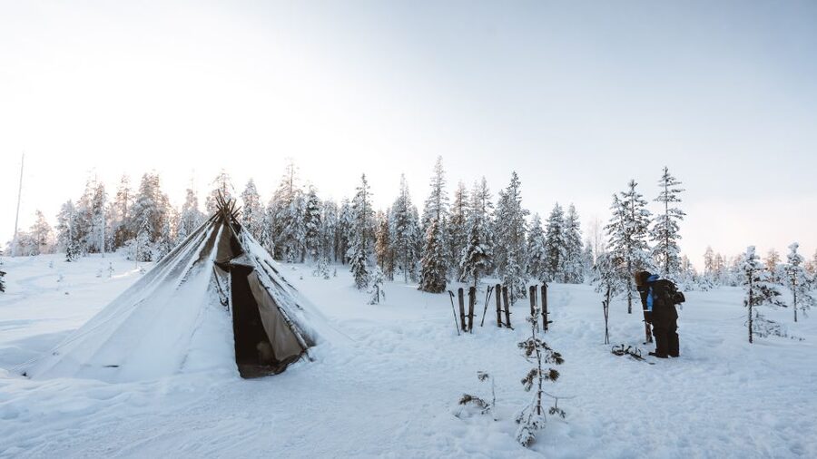 Rovaniemi: Lapland Ski Trekking Safari - Timing, Group Size, and How It Feels as a Half-Day