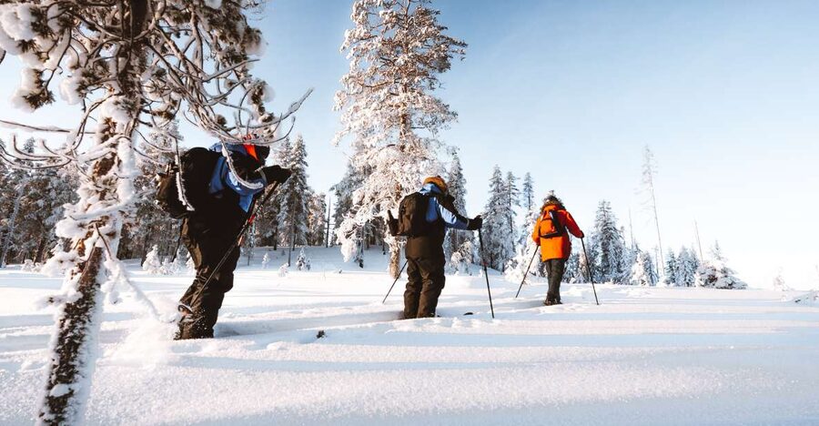 Rovaniemi: Lapland Ski Trekking Safari - Who Should Book This (and Who Should Skip It)