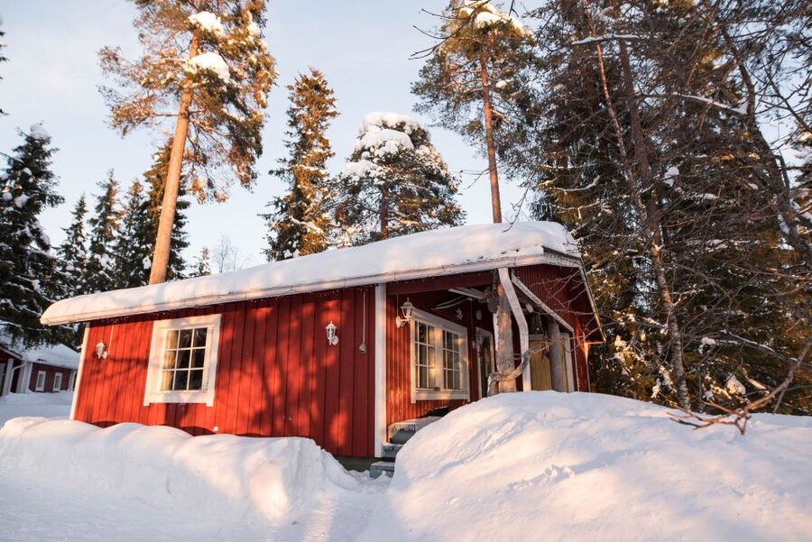 Rovaniemi: Lappish Evening Experience with Dinner - Cozy Cottage Dinner: Blazed Salmon Cooked on an Open Fire