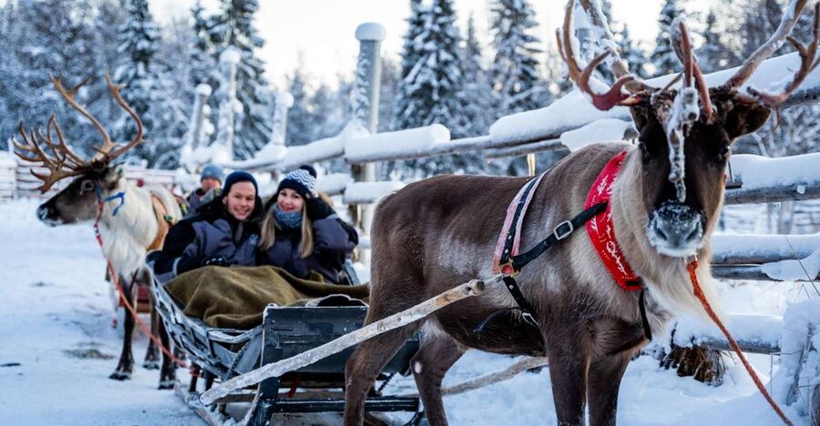 Rovaniemi: Local Reindeer Farm Visit with Sleigh Ride - The 2-km sleigh ride: the heart of the experience