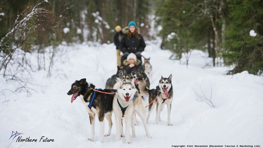 Rovaniemi: Meet Santa Claus, Reindeer Sleigh Ride & Huskies - Arctic Circle daydreams, without a full day commitment