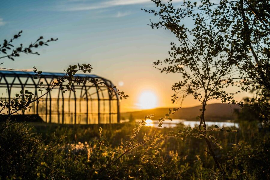Rovaniemi: Midnight Sun Photography Tour - BBQ by the fire under the night-less night