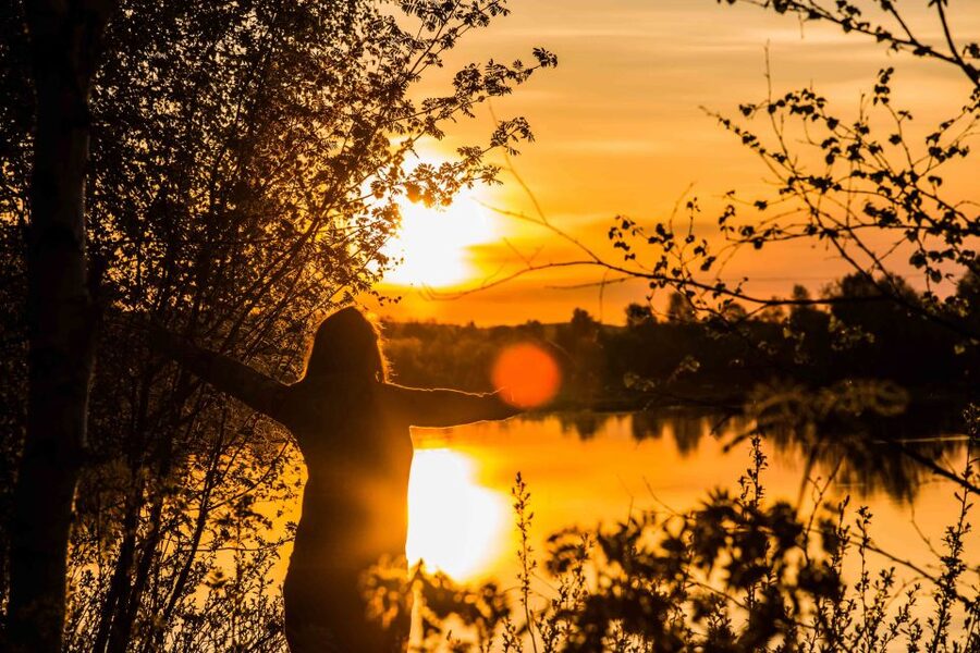 Rovaniemi: Midnight Sun Photography Tour - Price and value: what $141 buys in 3.5 hours