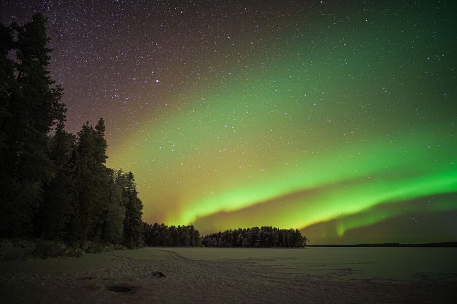 Rovaniemi: Night Sky lappish Barbecue - What the Night Sky Lappish Barbecue in Rovaniemi Really Delivers