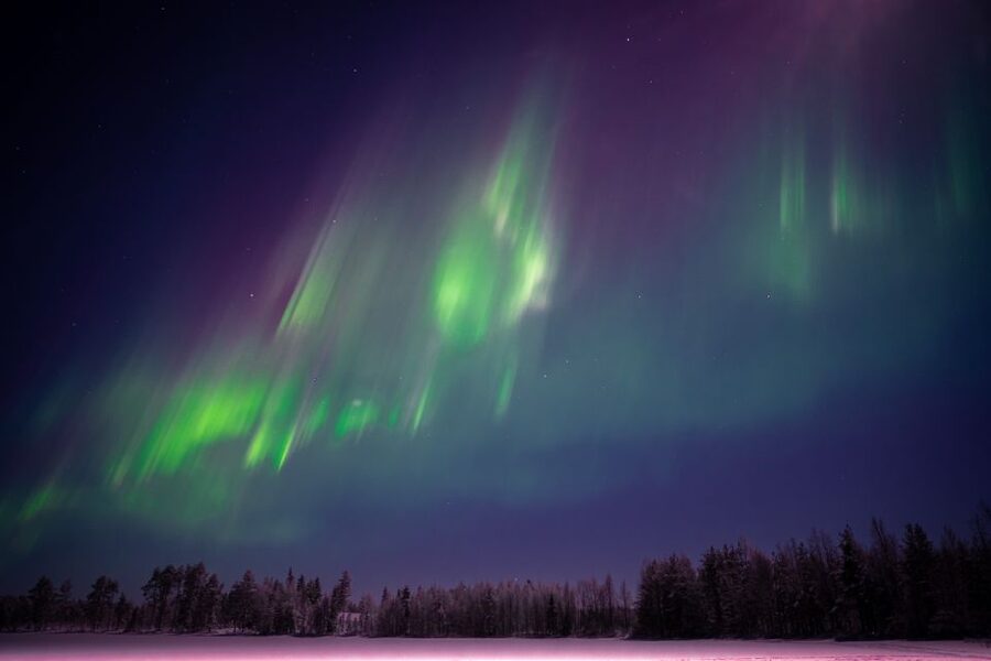 Rovaniemi: Night Sky lappish Barbecue - Who this tour suits best, and who should think twice