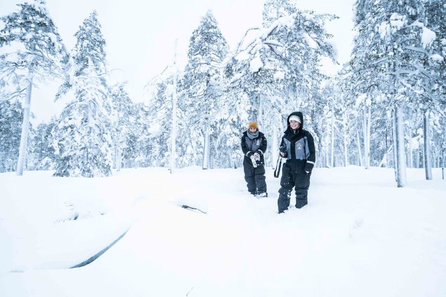 Rovaniemi: Nordic Forest Wilderness Adventure - Key things you will like about this Rovaniemi forest wilderness tour