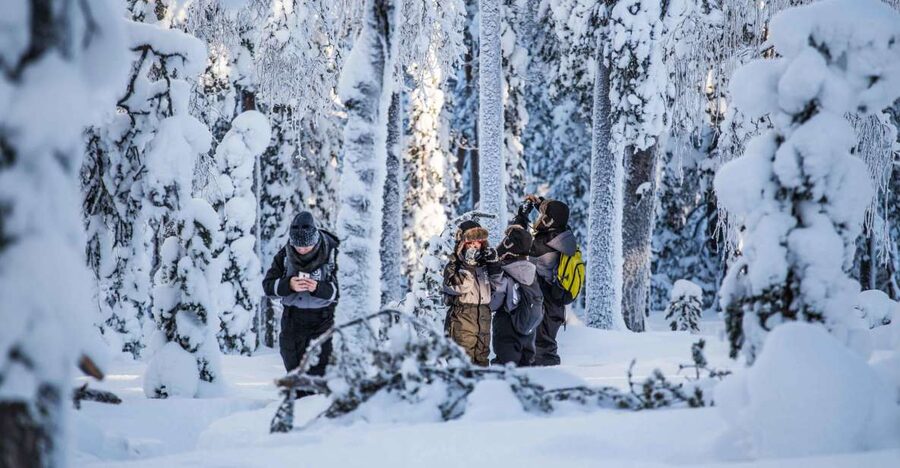 Rovaniemi: Nordic Forest Wilderness Adventure - Practical tips for a colder hike than you expect