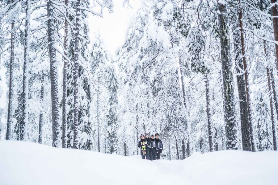 Rovaniemi: Nordic Forest Wilderness Adventure - Hills and the sightseeing tower: the payoff for your effort