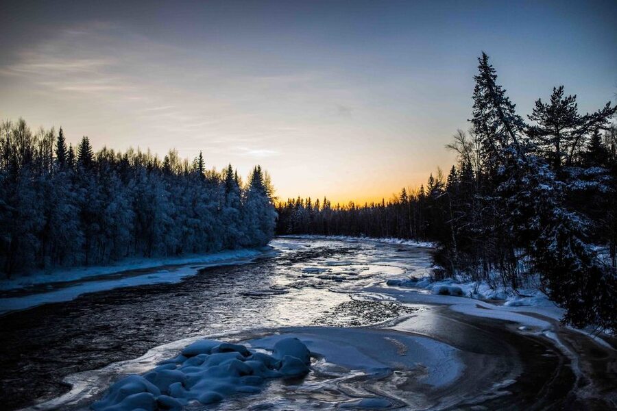 Rovaniemi: Nordic Forest Wilderness Adventure - Group size and guide style: why 8 people matters