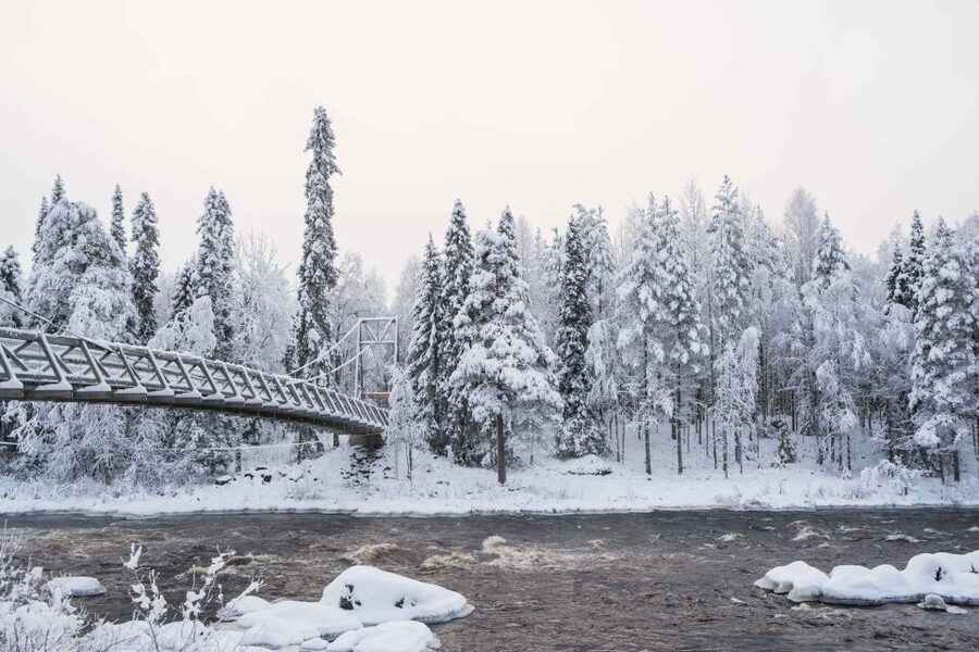 Rovaniemi: Nordic Forest Wilderness Adventure - Price and value: is $159 reasonable for a 4-hour wilderness hike?