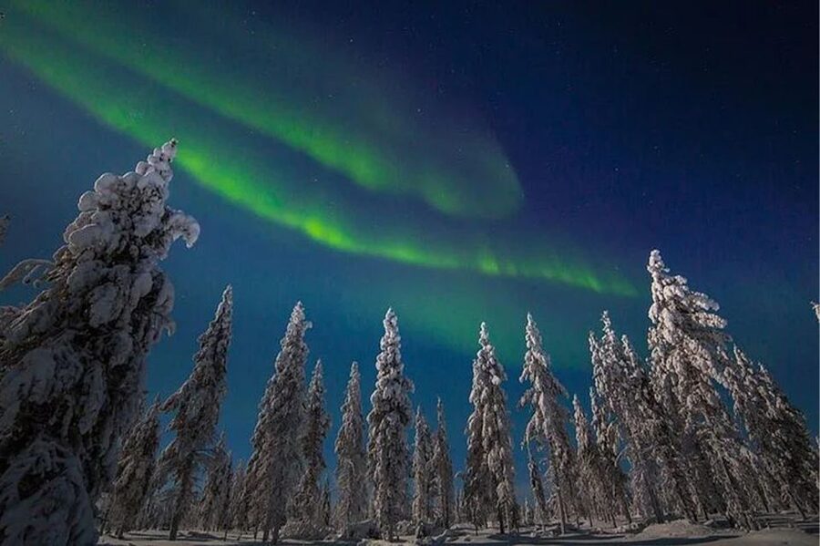 Rovaniemi: Northern Lights and Husky Sleigh Ride - Price and Value: Is $269 for 3.5 Hours a Good Deal?