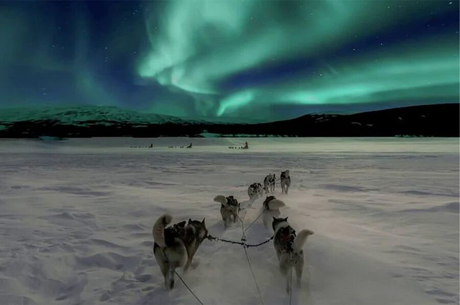 Rovaniemi: Northern Lights and Husky Sleigh Ride - Huskies First, Auroras Second: What This 3.5-Hour Plan Gets Right