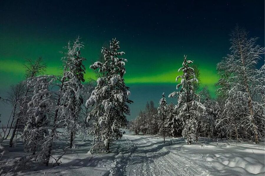 Rovaniemi: Northern Lights and Husky Sleigh Ride - Winter Clothes Included: What You Actually Need for Lapland Cold