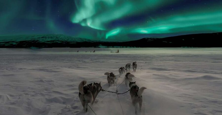 Rovaniemi: Northern Lights and Husky Sleigh Ride - Aurora Hunting by Car: How the Odds Work When Visibility Varies