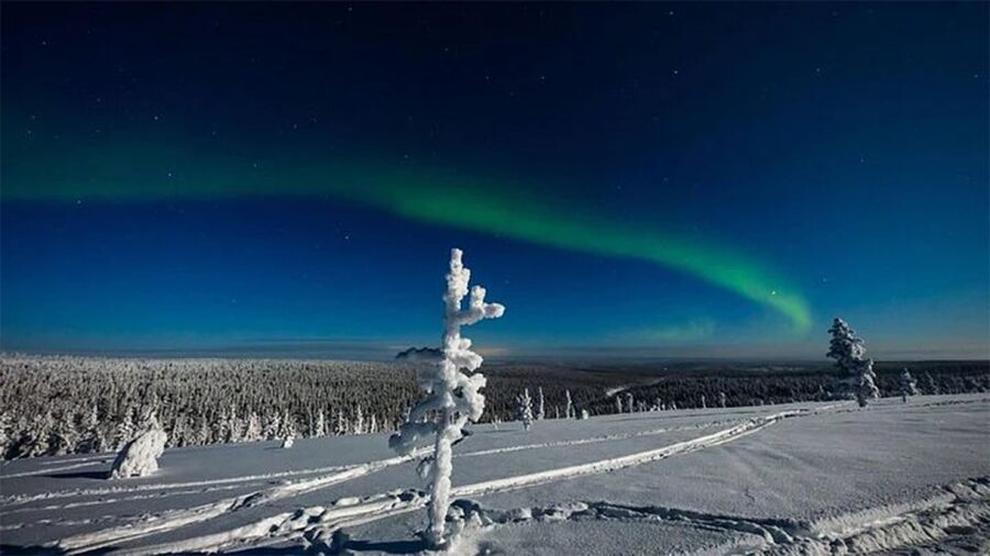 Rovaniemi: Northern Lights and Husky Sleigh Ride - Northern Lights Expectations: What to Do With a Cloudy Night