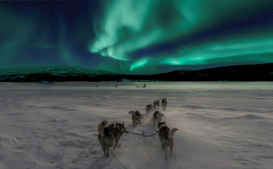 Rovaniemi: Northern Lights and Husky Sleigh Ride - Meeting Up Near Rovaniemi, and Why Pickup Points Matter