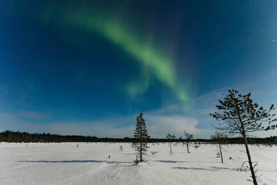 Rovaniemi: Northern Lights Family-Friendly Snowmobile Safari - Key things that make this safari a smart Northern Lights night