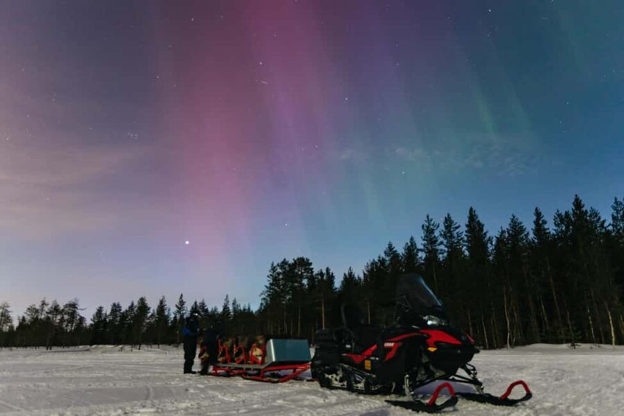 Rovaniemi: Northern Lights Family-Friendly Snowmobile Safari - Who rides what: snowmobile rules, sleigh comfort, and driver swapping
