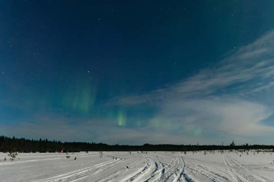 Rovaniemi: Northern Lights Family-Friendly Snowmobile Safari - Small group size, real attention, and what that means for families