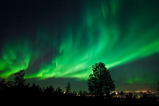 Rovaniemi: Northern Lights Group Tour - Guaranteed View - Stop style and timing: what happens once you park in the dark