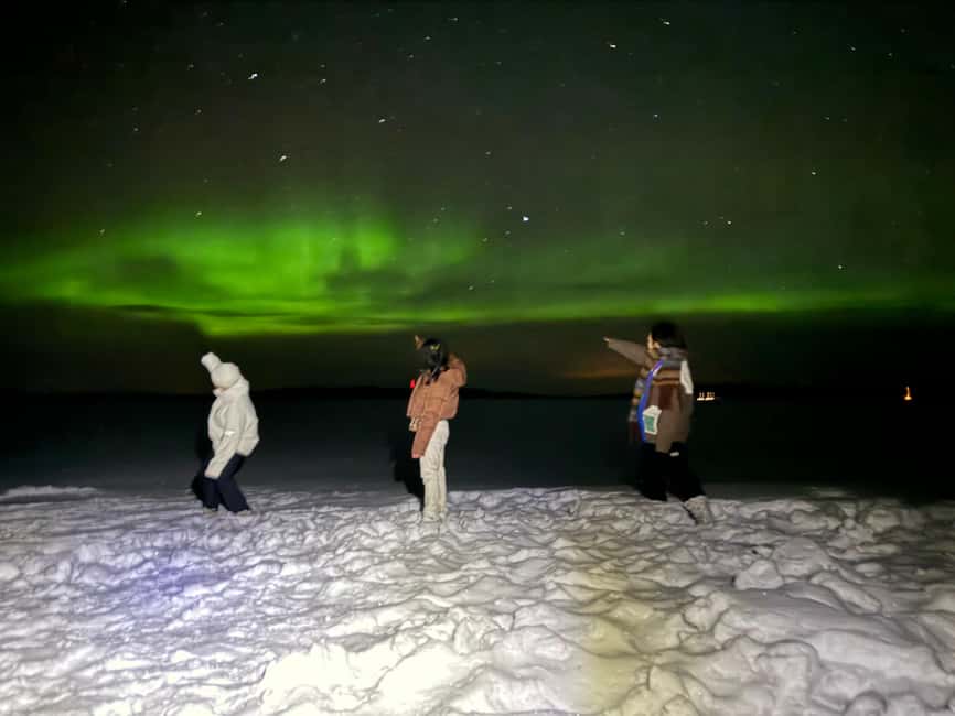 Rovaniemi:Northern Lights Hunt in Lapland Wilderness - Key things I’d plan for