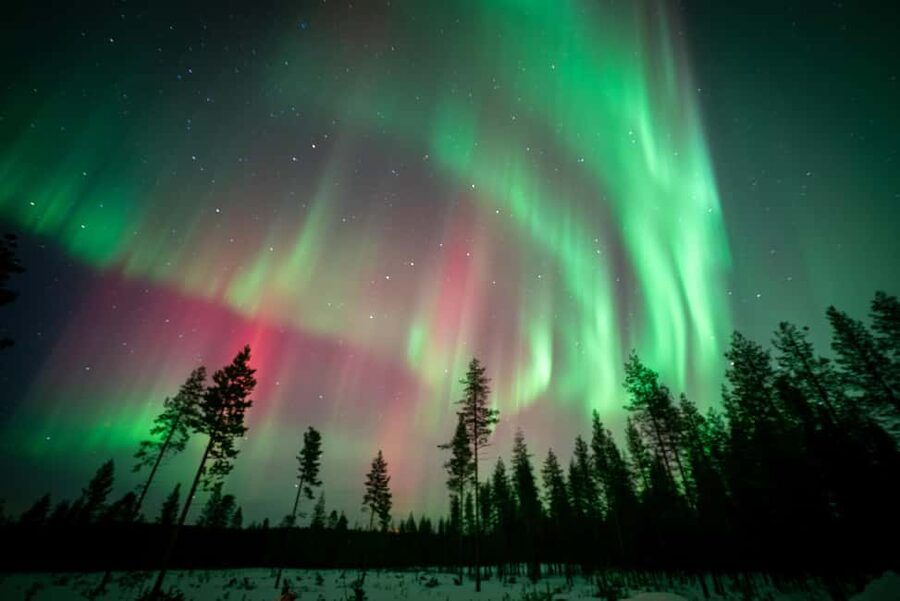 Rovaniemi: Northern Lights Photography Tour & BBQ - Who should book this (and who might want to skip it)