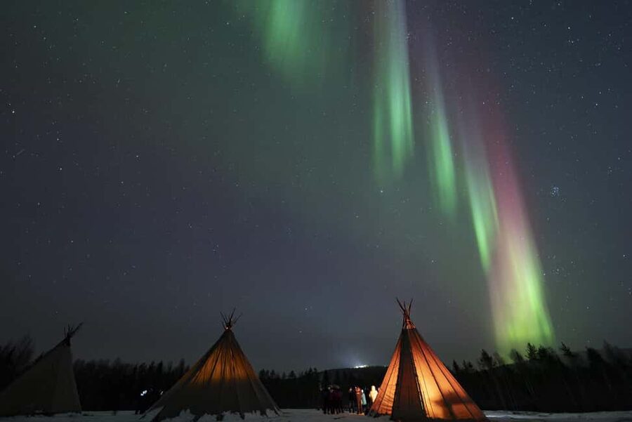 Rovaniemi: Northern Lights Photography Tour & BBQ - Should you book? My practical take