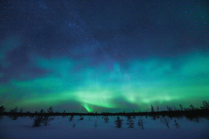 Rovaniemi: Northern Lights Pro Guaranteed - Unlimited Distance - The “100% money-back guarantee” and what it changes