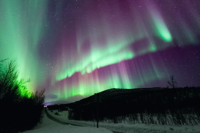 Rovaniemi: Northern Lights Pro Guaranteed - Unlimited (PRIVATE) - Rovaniemi at 7:00 pm: what your night really feels like