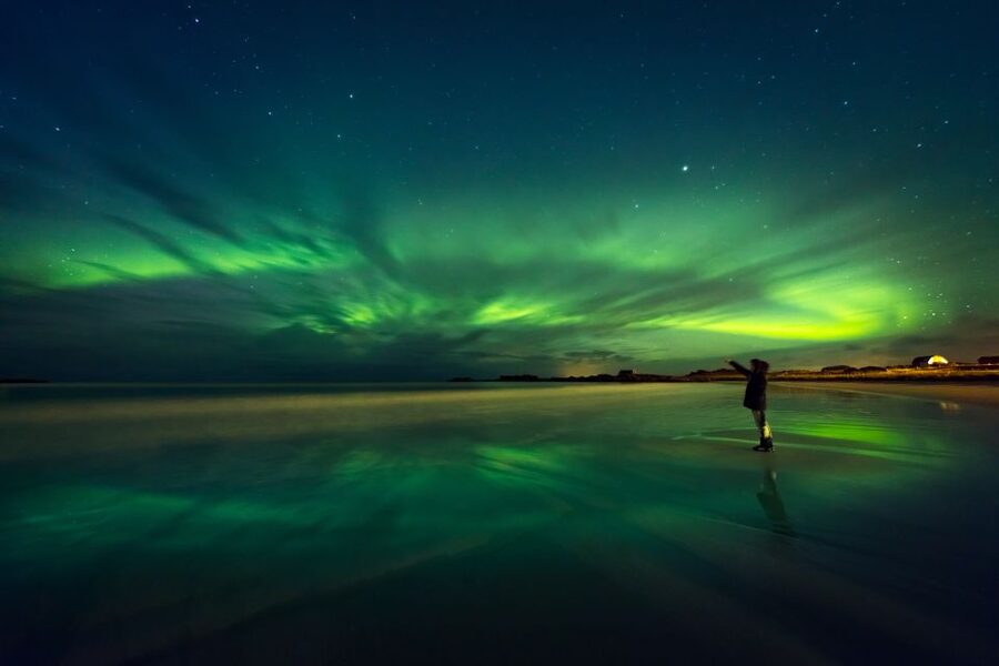 Rovaniemi: Northern Lights Sledge Ride - The 2-Hour Sleigh Ride Through the Arctic Forest