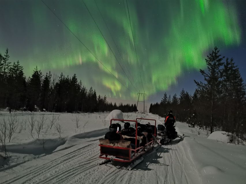 Rovaniemi: Northern Lights Sledge Ride - Stops, Warm Drinks, and Small Moments That Matter