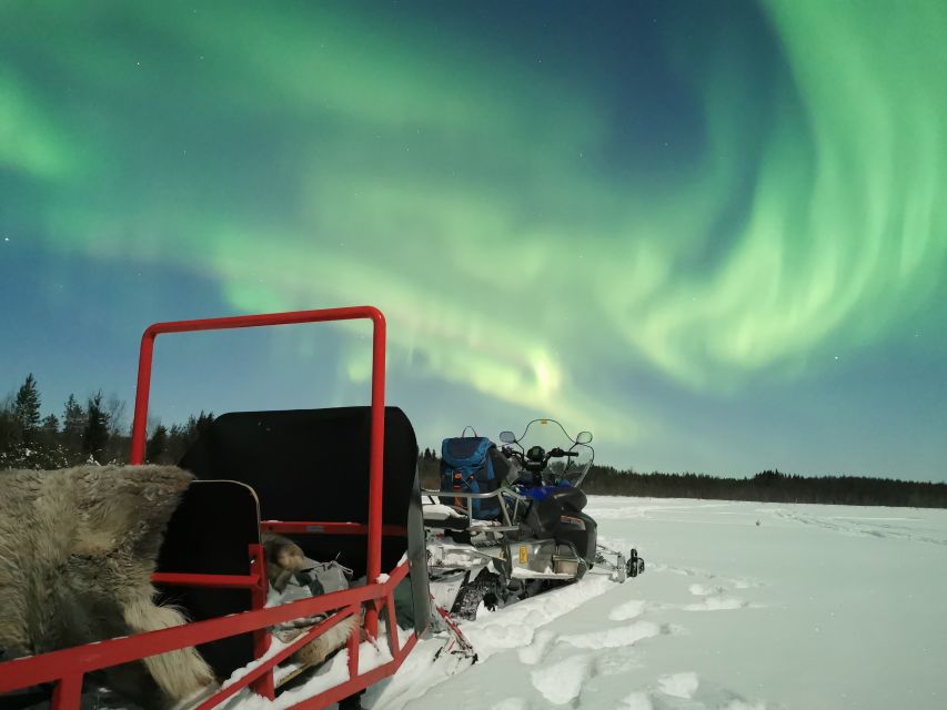 Rovaniemi: Northern Lights Sledge Ride - Price and Value: Is $90 Fair for a 3-Hour Arctic Night?