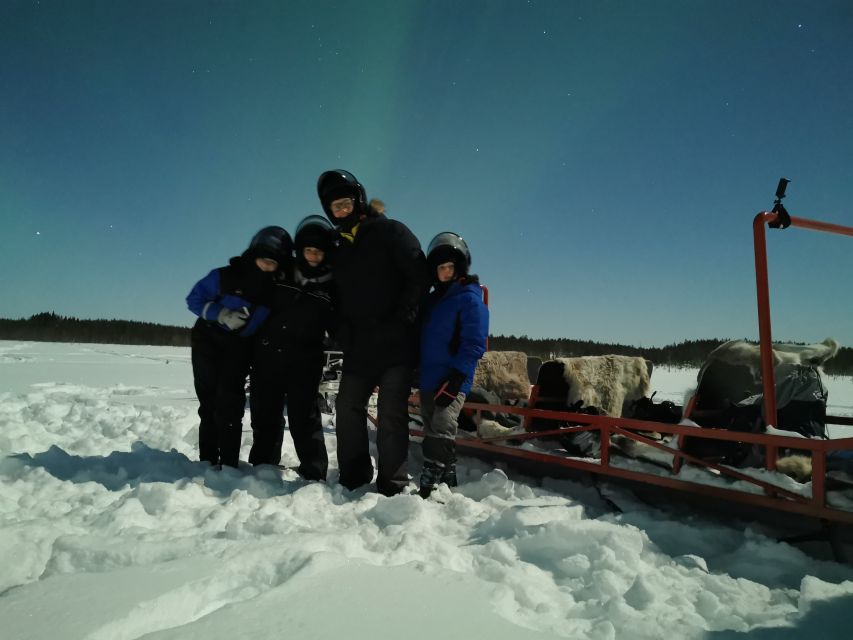 Rovaniemi: Northern Lights Sledge Ride - Who Should Book, and Who Might Want a Different Night