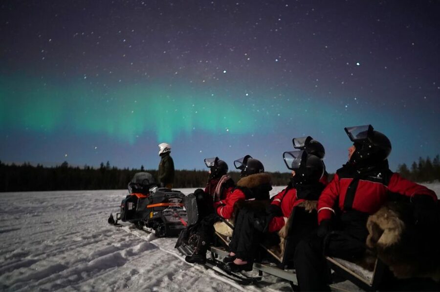 Rovaniemi: Northern Lights Sleigh Ride - Key takeaways before you go