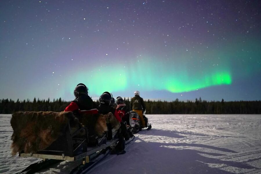 Rovaniemi: Northern Lights Sleigh Ride - Warming up with hot blueberry juice and gingerbread