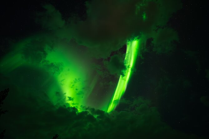 Rovaniemi: Northern Lights Small Group Money-Back Guarantee - Key takeaways before you go