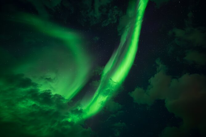 Rovaniemi: Northern Lights Small Group Money-Back Guarantee - Comfort details that make the long night bearable