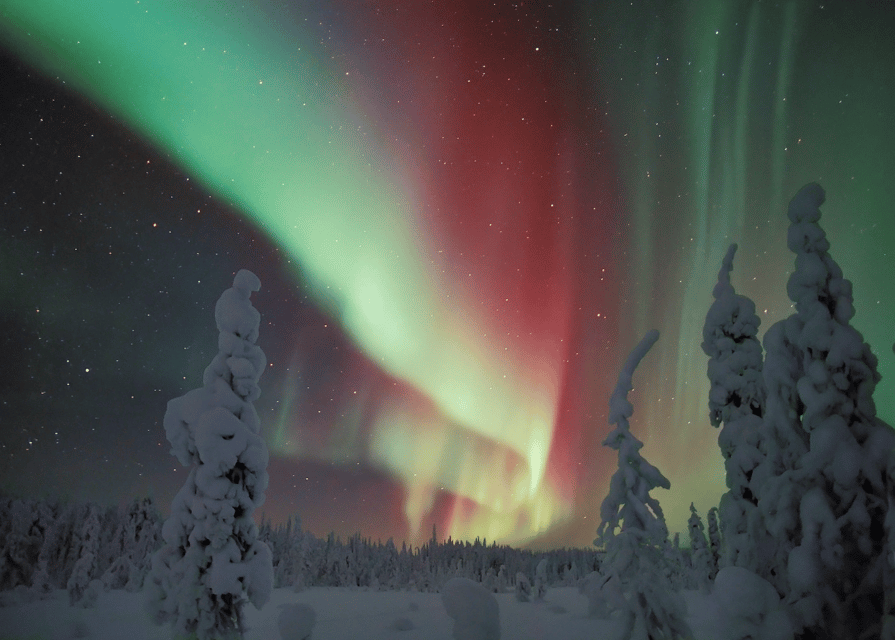 Rovaniemi: Northern Lights Snowmobile Safari with Campfire - Key Things You Actually Get Out Of This Safari