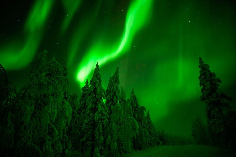 Rovaniemi: Northern Lights Snowmobile Tour - Northern Lights reality check: your best odds without the fantasy